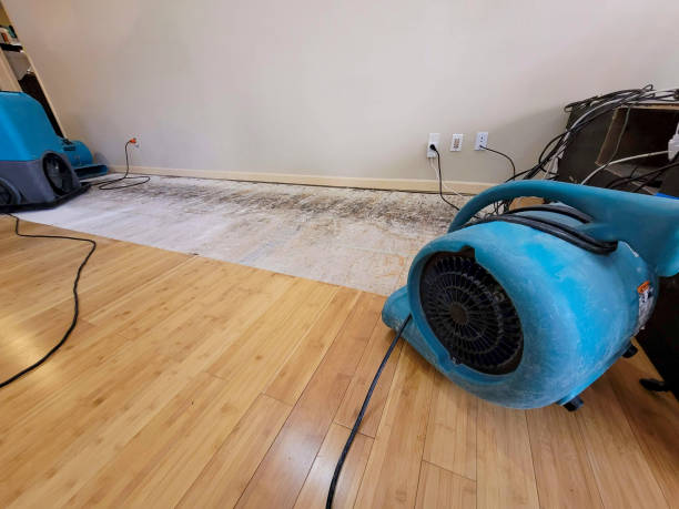 Professional Emergency Water Damage technician working in Genoa, WI